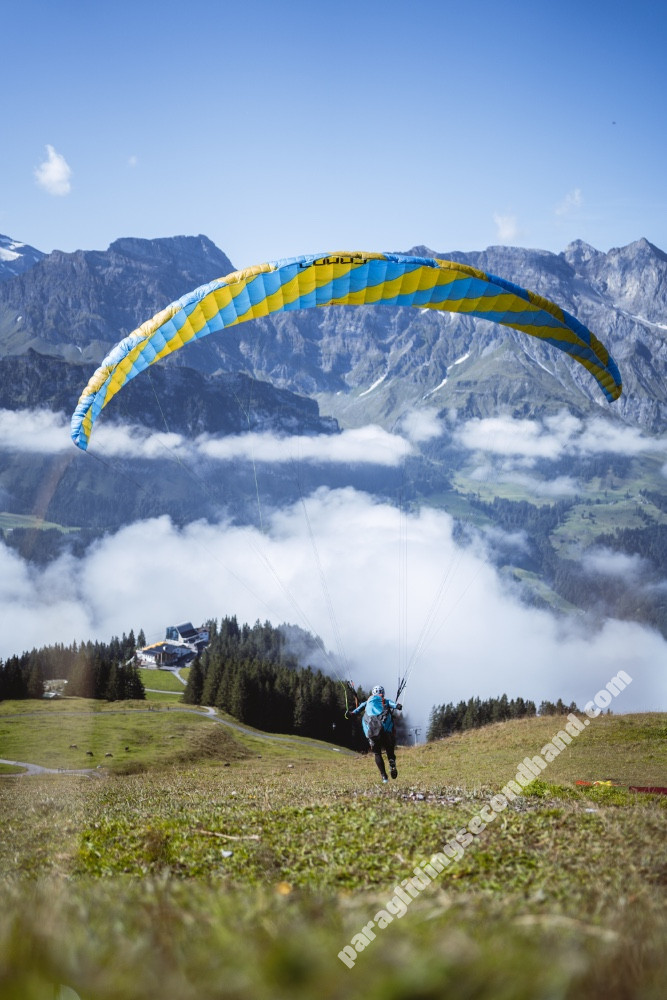 Phi Symphonia, 20, 2018, (65-85kg), 40h