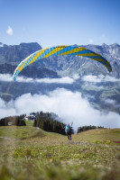 Phi Symphonia, 20, 2018, (65-85kg), 40h