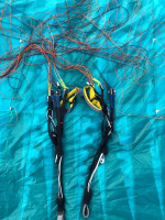 Advance Sigma 11, 24, 2021, (80-100kg), 148h