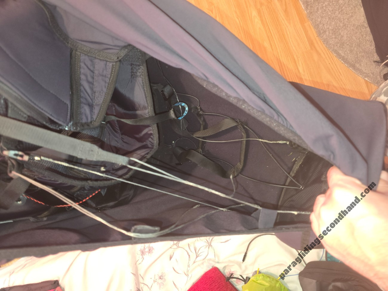 Near Birds Vibe, L, 2025