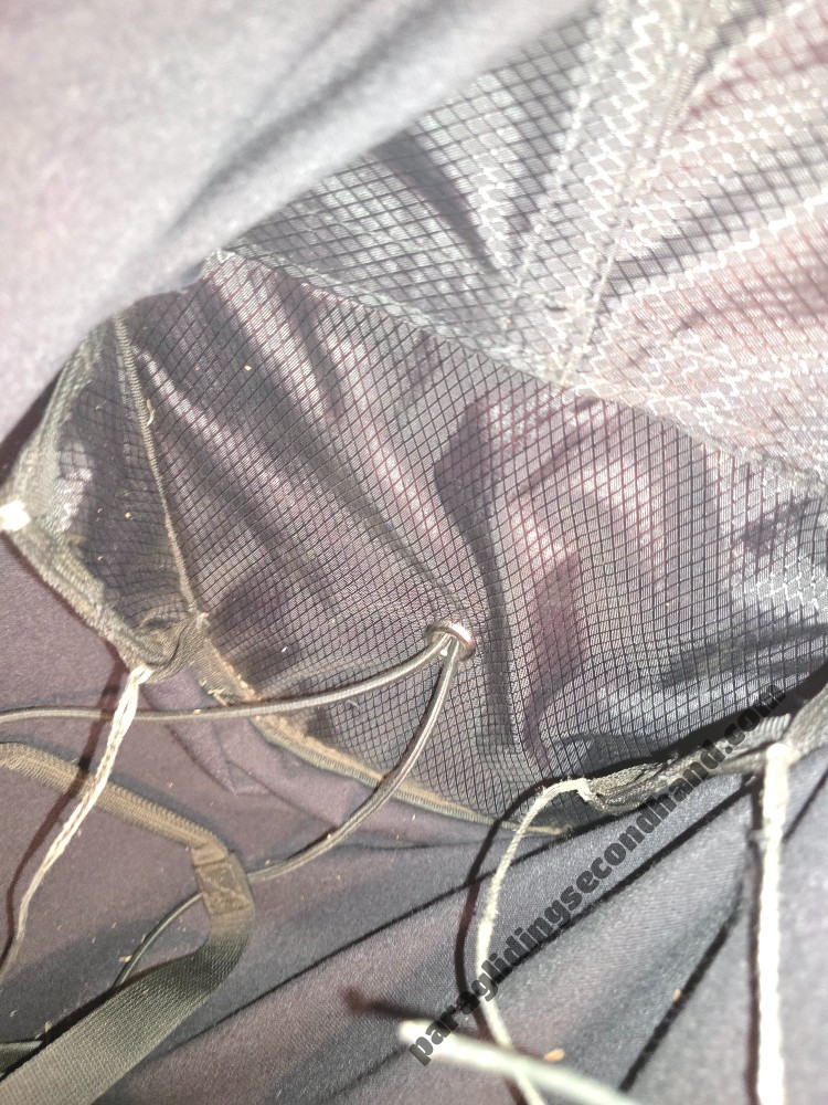 Near Birds Vibe, L, 2025