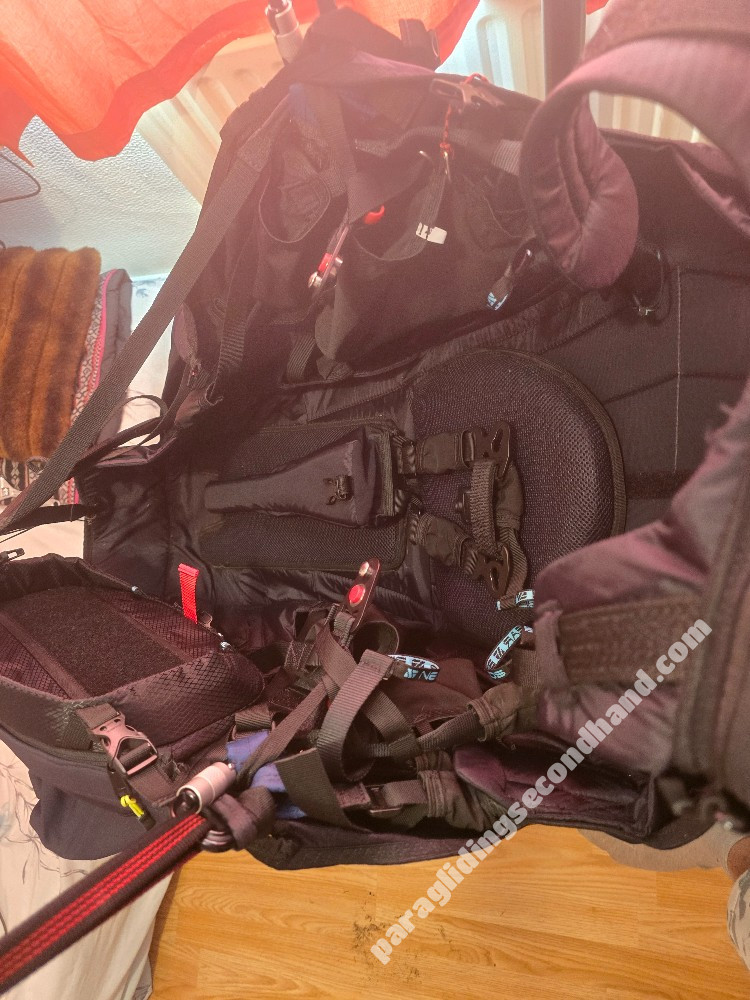 Near Birds Vibe, L, 2025