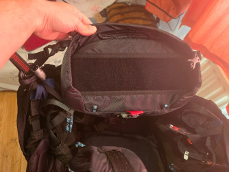 Near Birds Vibe, L, 2025