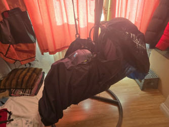 Near Birds Vibe, L, 2025