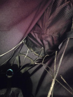 Near Birds Vibe, L, 2025