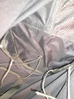 Near Birds Vibe, L, 2025