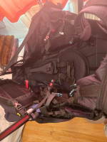 Near Birds Vibe, L, 2025