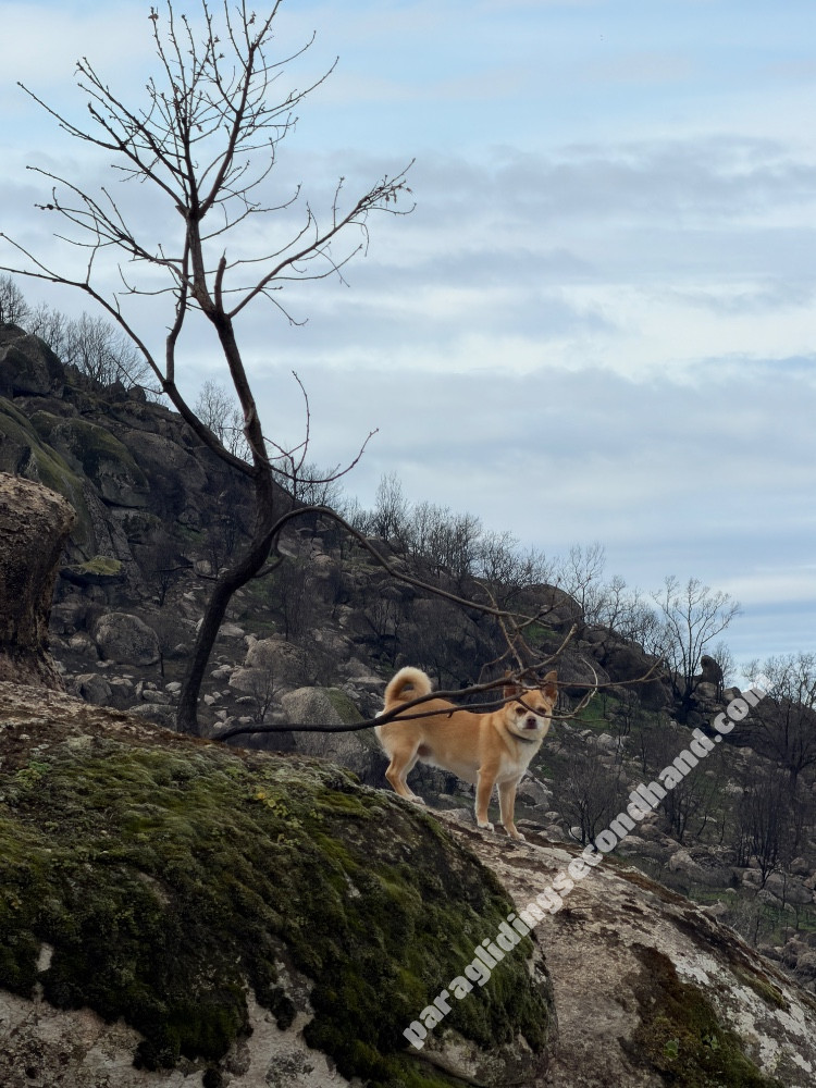 Apco F3, 22, 2023, (90-190kg), 15h