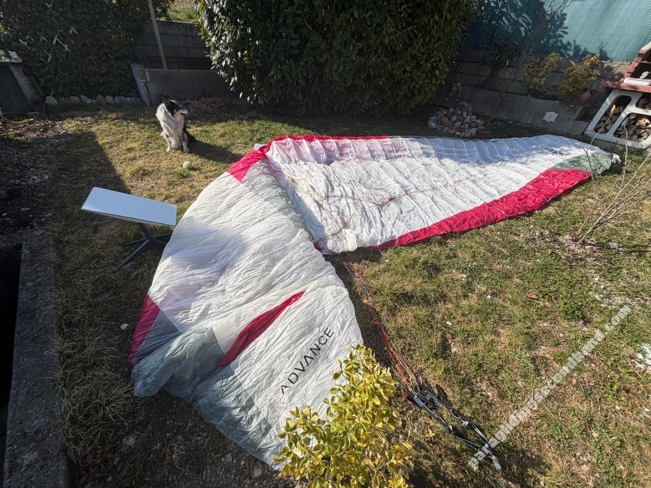 Advance omega uls, 23, 2023, (85-100kg), 90h