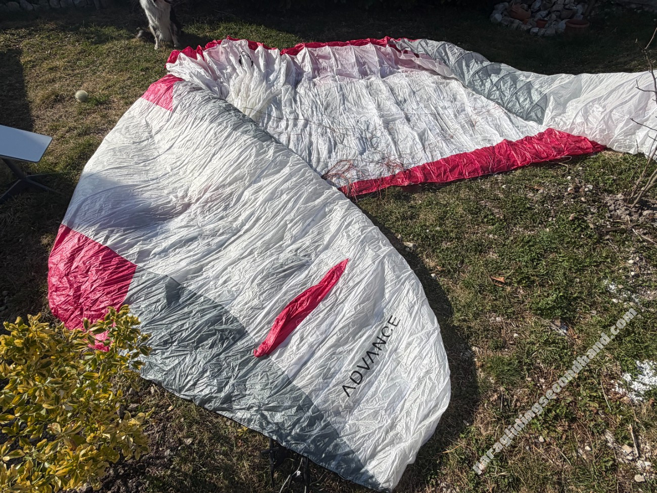 Advance omega uls, 23, 2023, (85-100kg), 90h