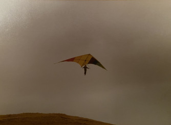 Paraglider Wanted, Small or Extra Small