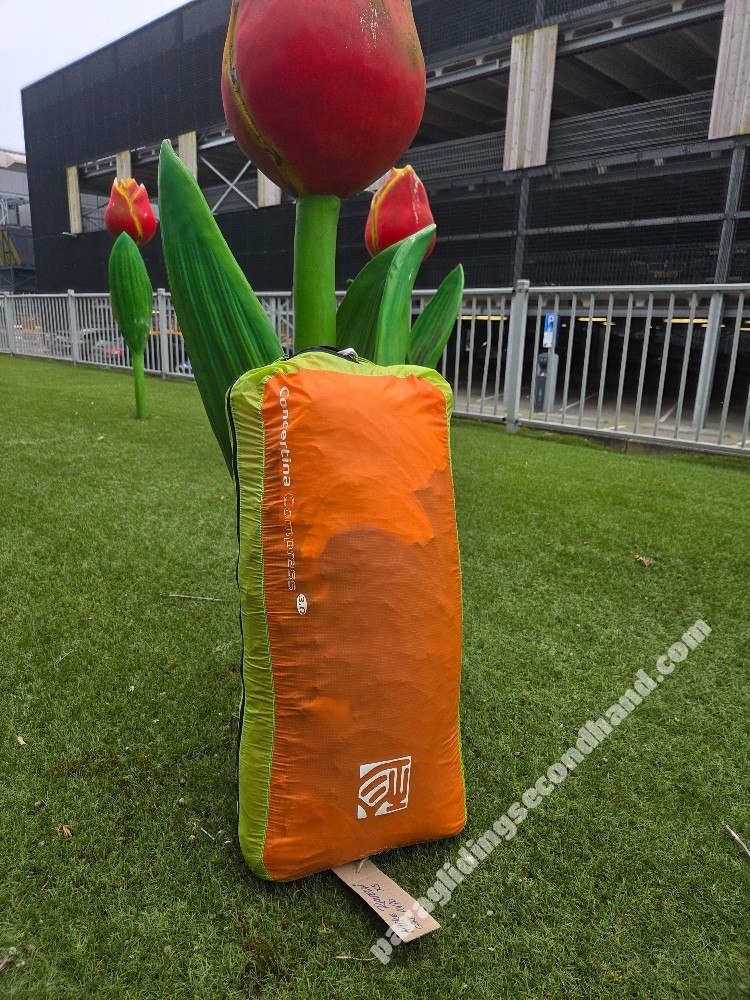 GIN Gliders Avid, Xs, 2024, (65-85kg), 77h