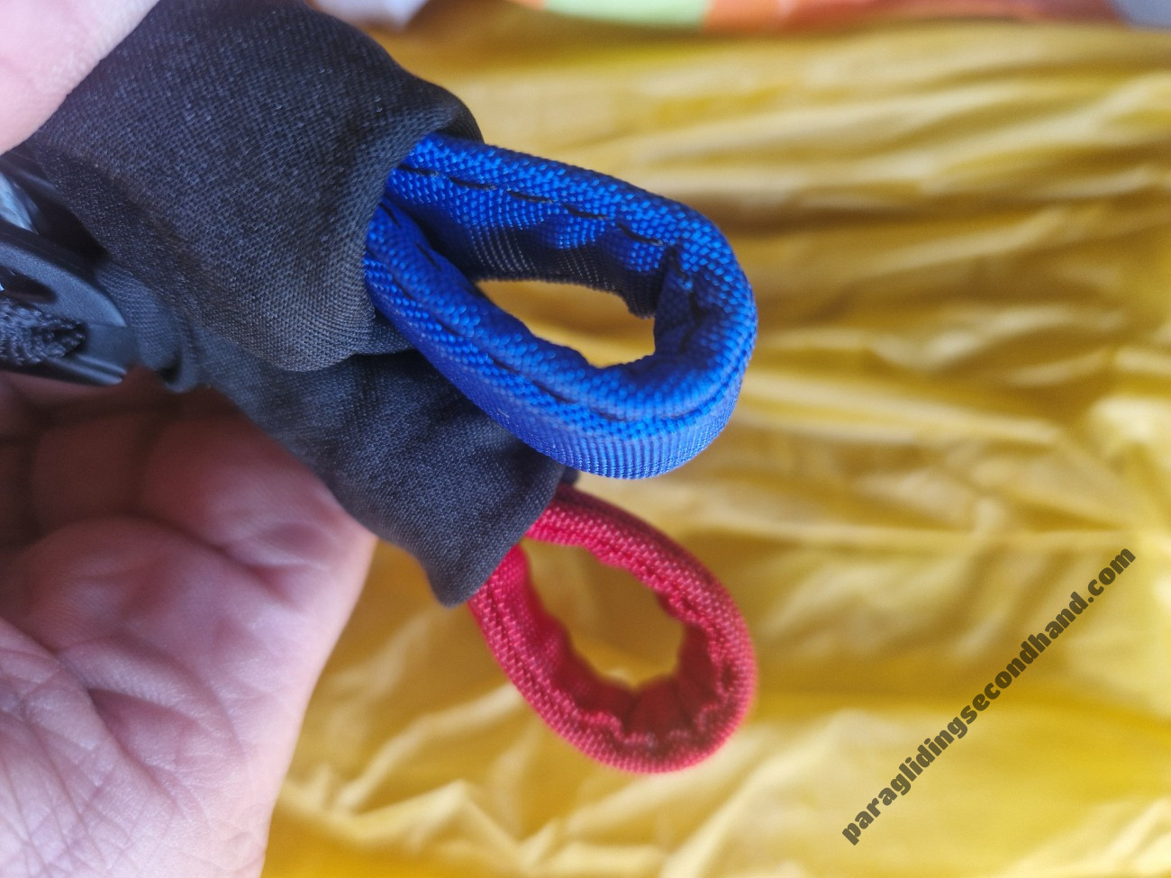 GIN Gliders Avid, Xs, 2024, (65-85kg), 77h