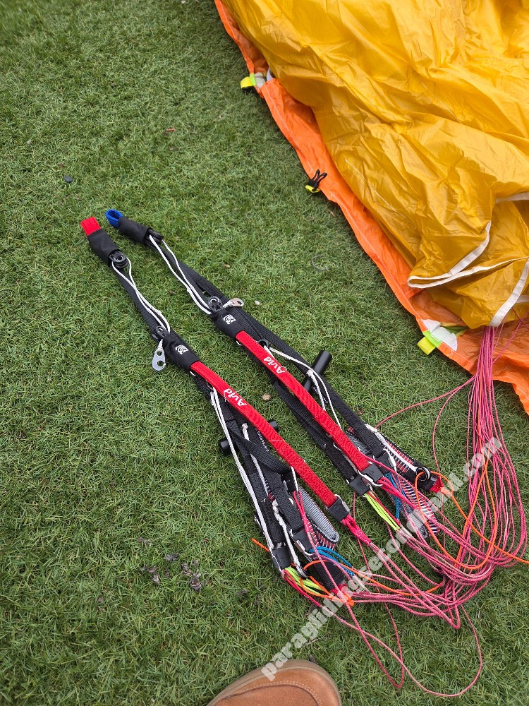 GIN Gliders Avid, Xs, 2024, (65-85kg), 77h