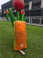 GIN Gliders Avid, Xs, 2024, (65-85kg), 77h