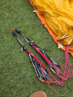 GIN Gliders Avid, Xs, 2024, (65-85kg), 77h