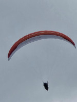 GIN Gliders GTO 3, L, 2025, (100-115kg), 10h