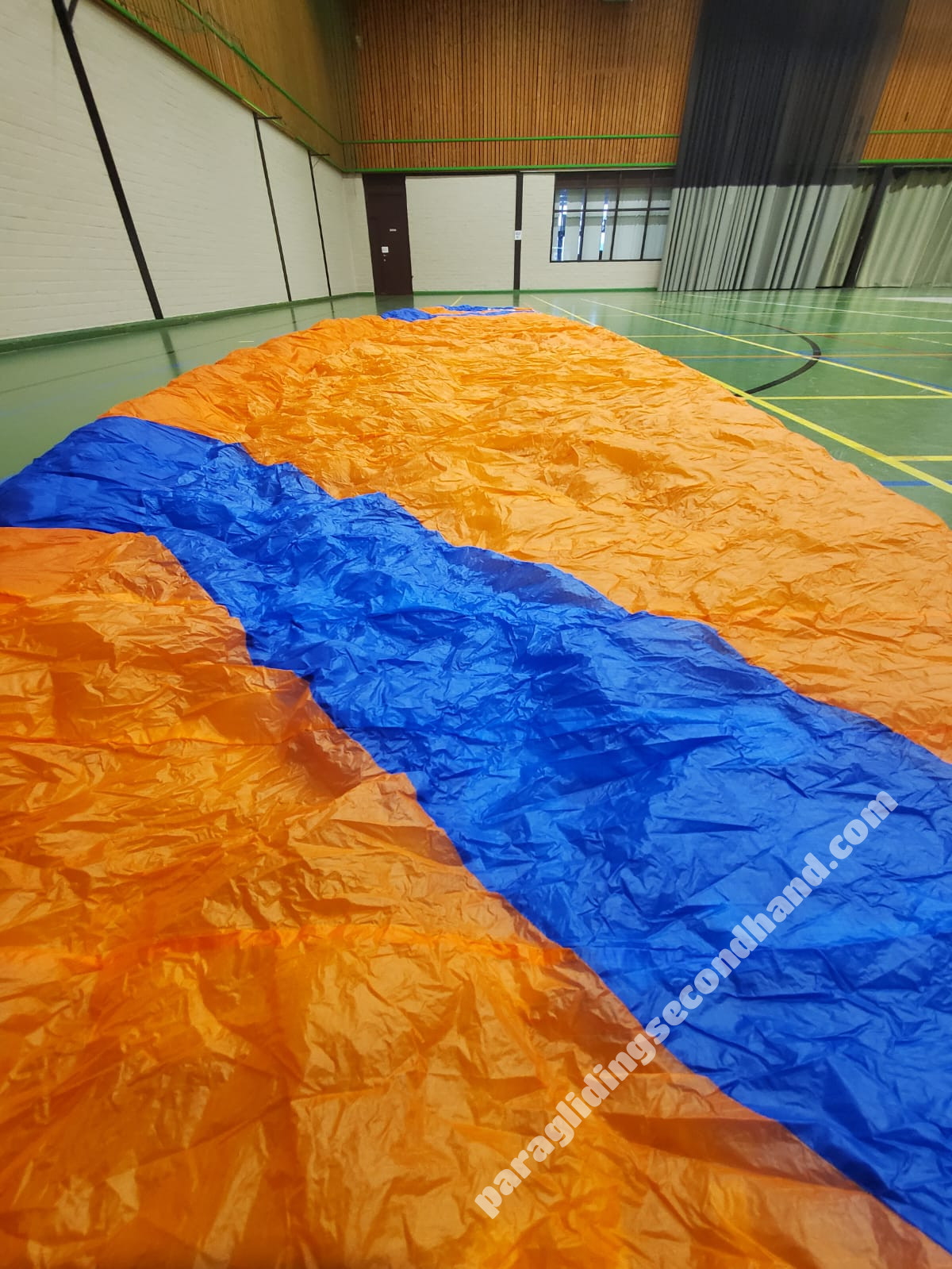 Phi Viola, 24, 2020, (90-120kg), 20h - Image 8