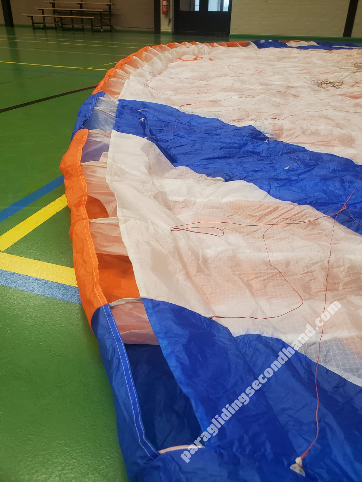 Phi Viola, 24, 2020, (90-120kg), 20h - Image 7