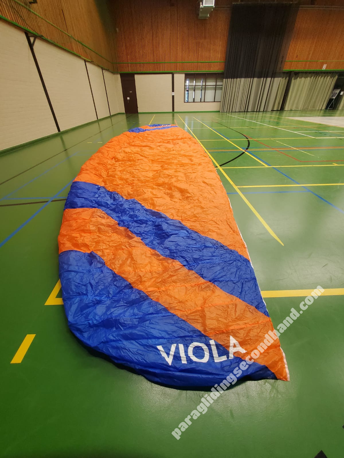 Phi Viola, 24, 2020, (90-120kg), 20h - Image 4