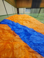 Phi Viola, 24, 2020, (90-120kg), 20h