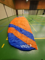 Phi Viola, 24, 2020, (90-120kg), 20h