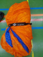 Phi Viola, 24, 2020, (90-120kg), 20h