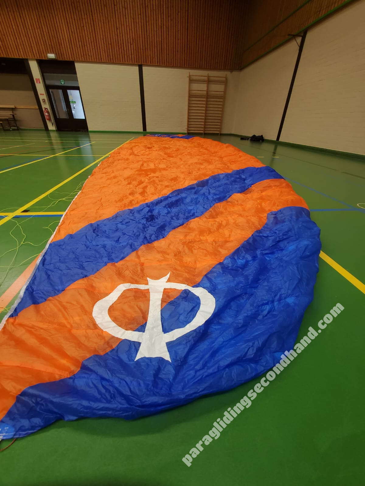 Phi Viola, 24, 2020, (90-120kg), 20h