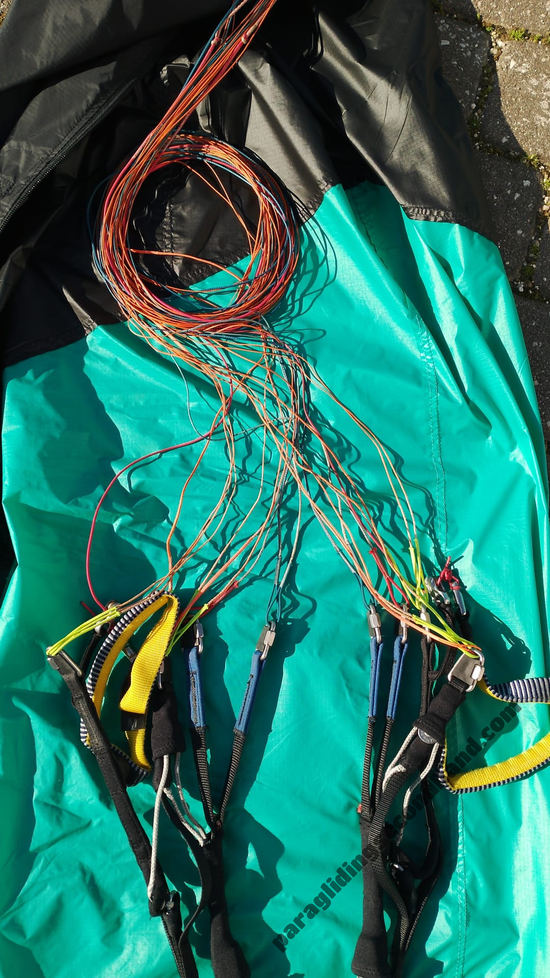 Advance Sigma 11 22 - Image 2