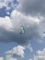 Ozone Buzz z5, MS, 2016, (75-95kg), 90h