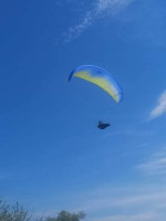 Ozone Buzz z5, MS, 2016, (75-95kg), 90h