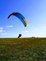 Niviuk Artik4, S, 2017, (60-80kg), 200h