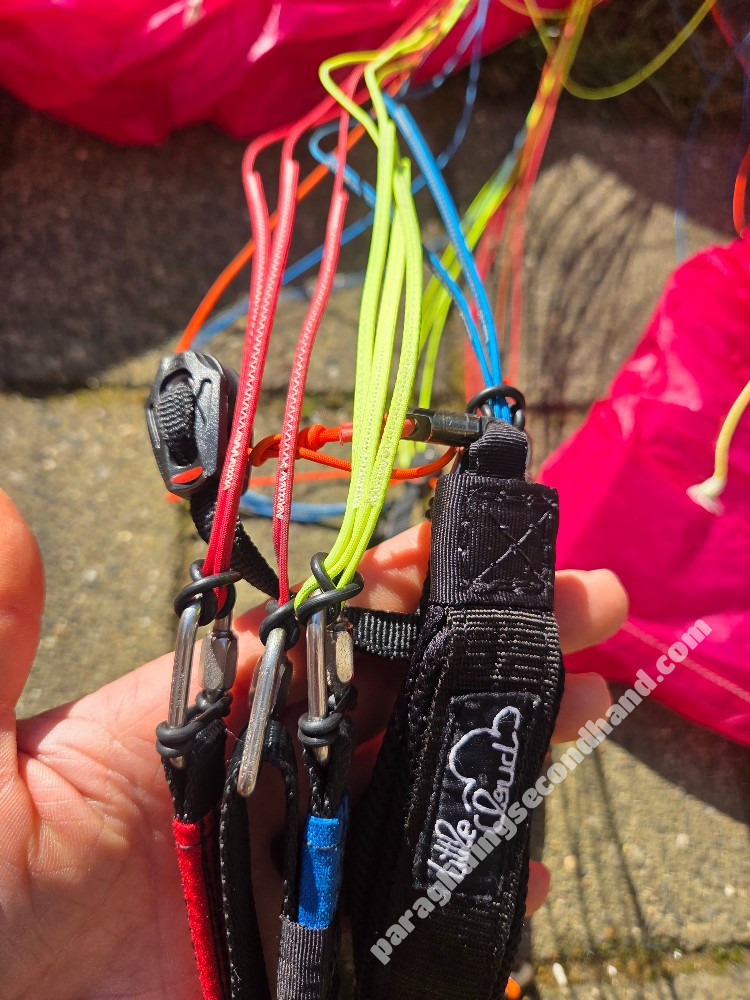 Little Cloud Puffin, 16, 2022, (60-100kg), 10h - Image 6