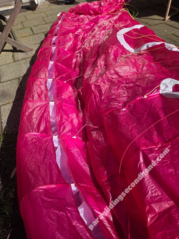 Little Cloud Puffin, 16, 2022, (60-100kg), 10h - Image 7