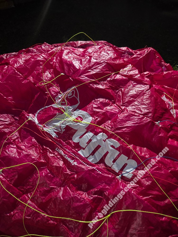 Little Cloud Puffin, 16, 2022, (60-100kg), 10h - Image 3