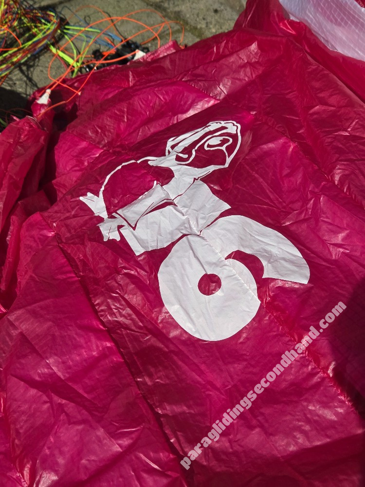 Little Cloud Puffin, 16, 2022, (60-100kg), 10h - Image 2