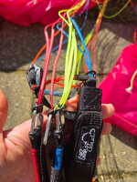 Little Cloud Puffin, 16, 2022, (60-100kg), 10h