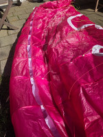 Little Cloud Puffin, 16, 2022, (60-100kg), 10h