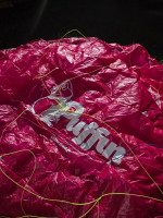 Little Cloud Puffin, 16, 2022, (60-100kg), 10h