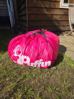 Little Cloud Puffin, 16, 2022, (60-100kg), 10h