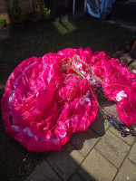 Little Cloud Puffin, 16, 2022, (60-100kg), 10h