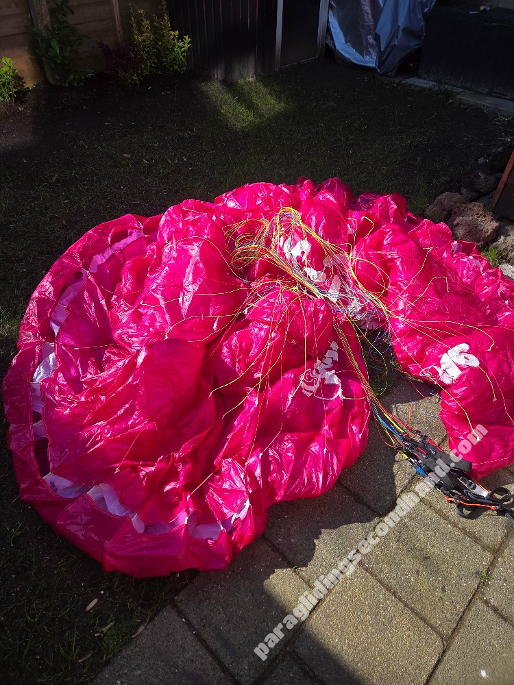 Little Cloud Puffin, 16, 2022, (60-100kg), 10h - Image 5