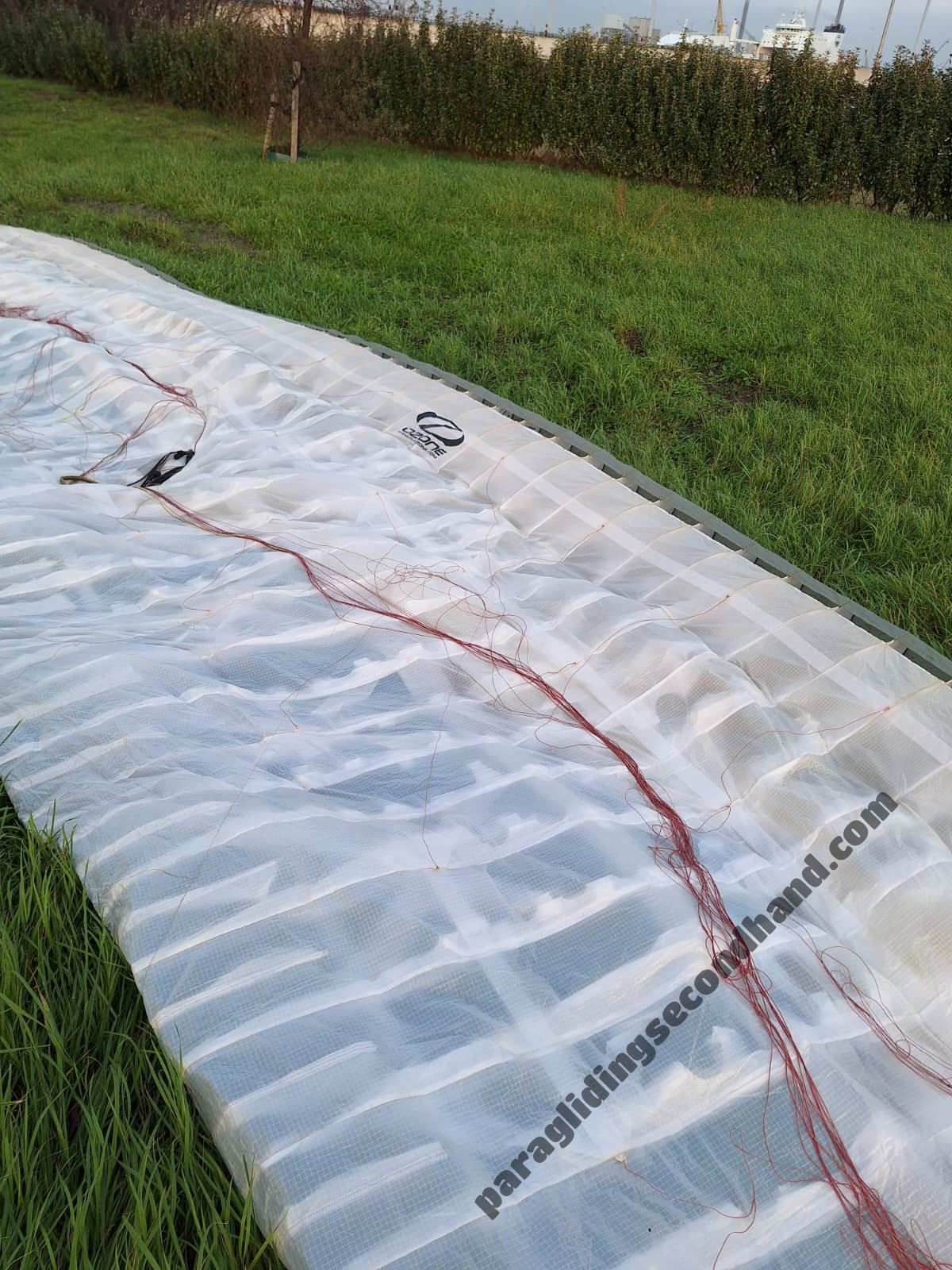 Ozone Mantra M7, L, 2019, (100-115kg), 160h