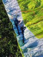 Nova Mentor 7, XS, 2025, (70-95kg), 43h