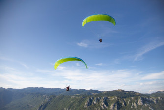 Triple Seven 777 Bishop, 42, 2025, (120-225kg), 12h