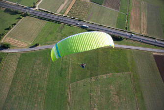 Triple Seven 777 Bishop, 42, 2025, (120-225kg), 12h