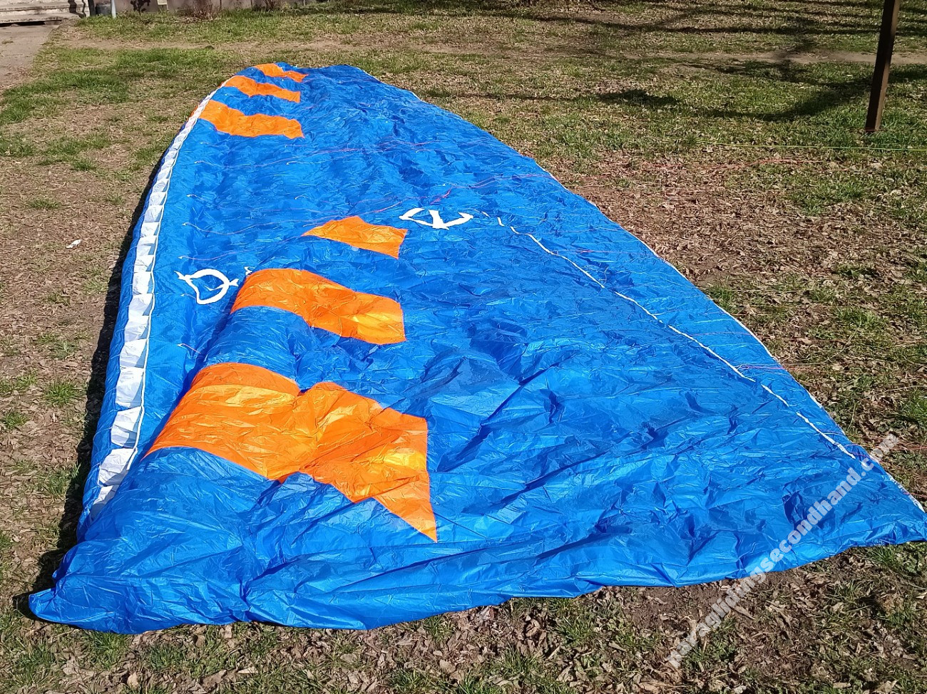 Phi Maestro, 19, 2019, (65-90kg), 120h - Image 3