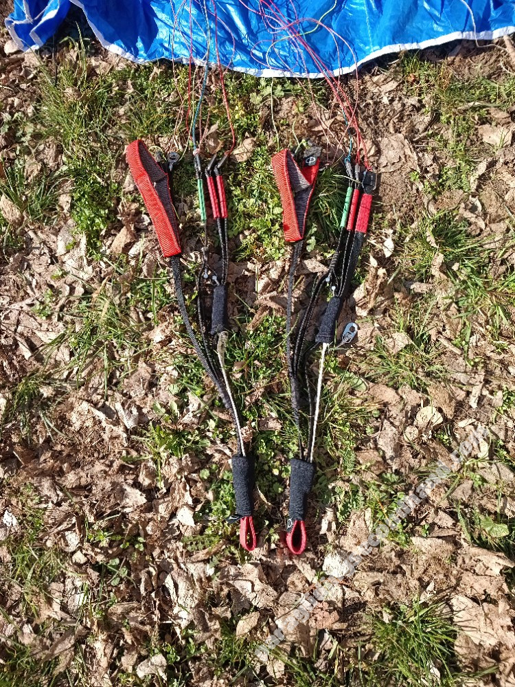 Phi Maestro, 19, 2019, (65-90kg), 120h - Image 4