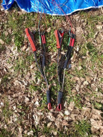 Phi Maestro, 19, 2019, (65-90kg), 120h