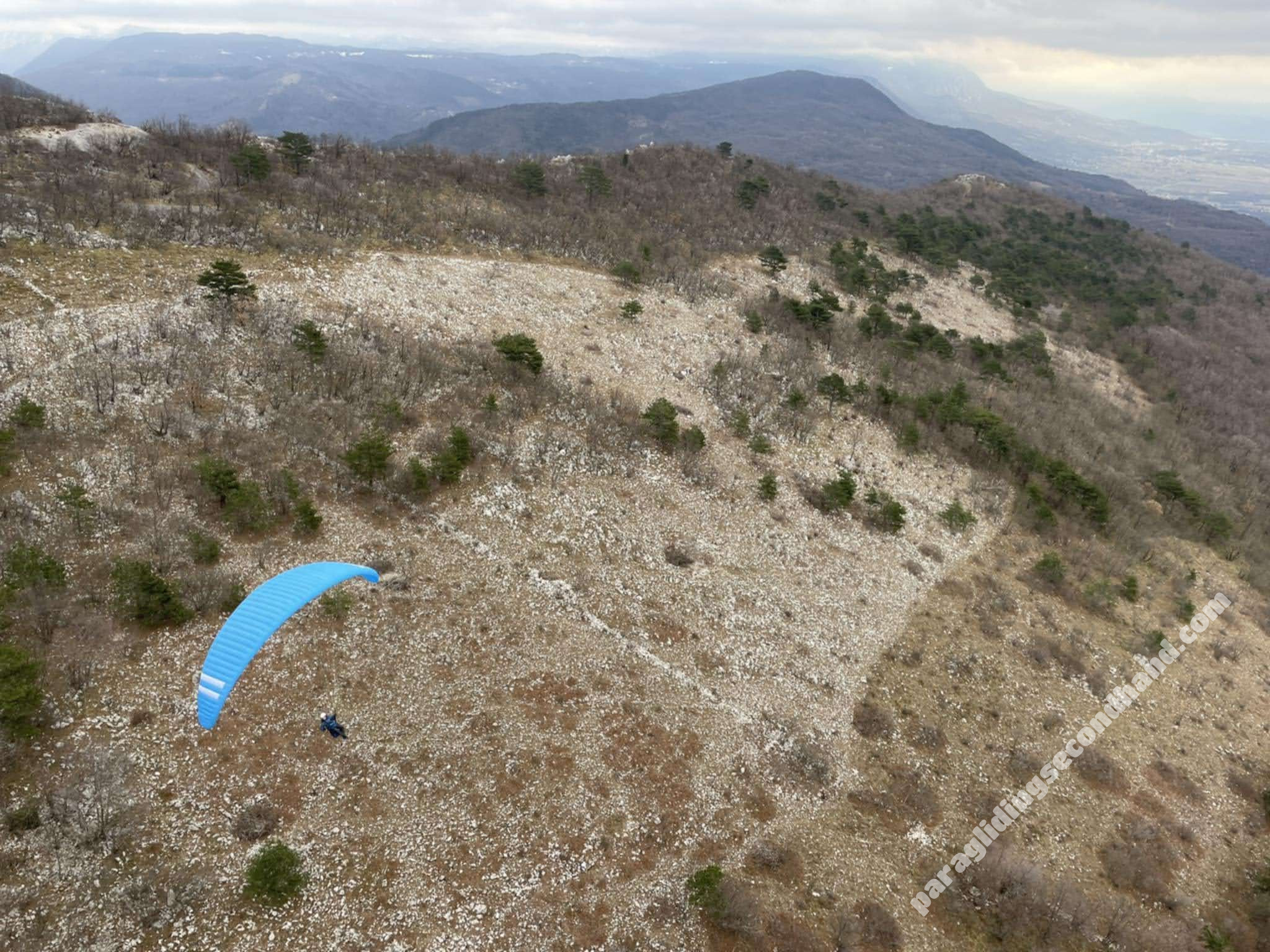 Triple Seven 777 Knight 2, MS, 2024, (80-95kg), 90h